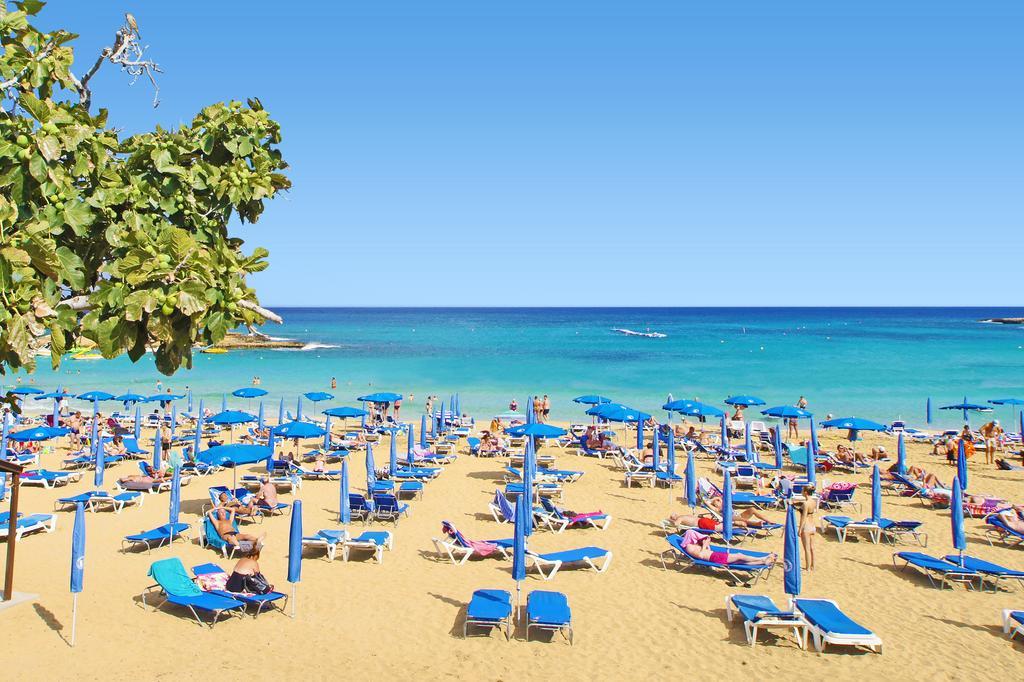 Apartment Marina - Beachfront プロタラス 部屋 写真